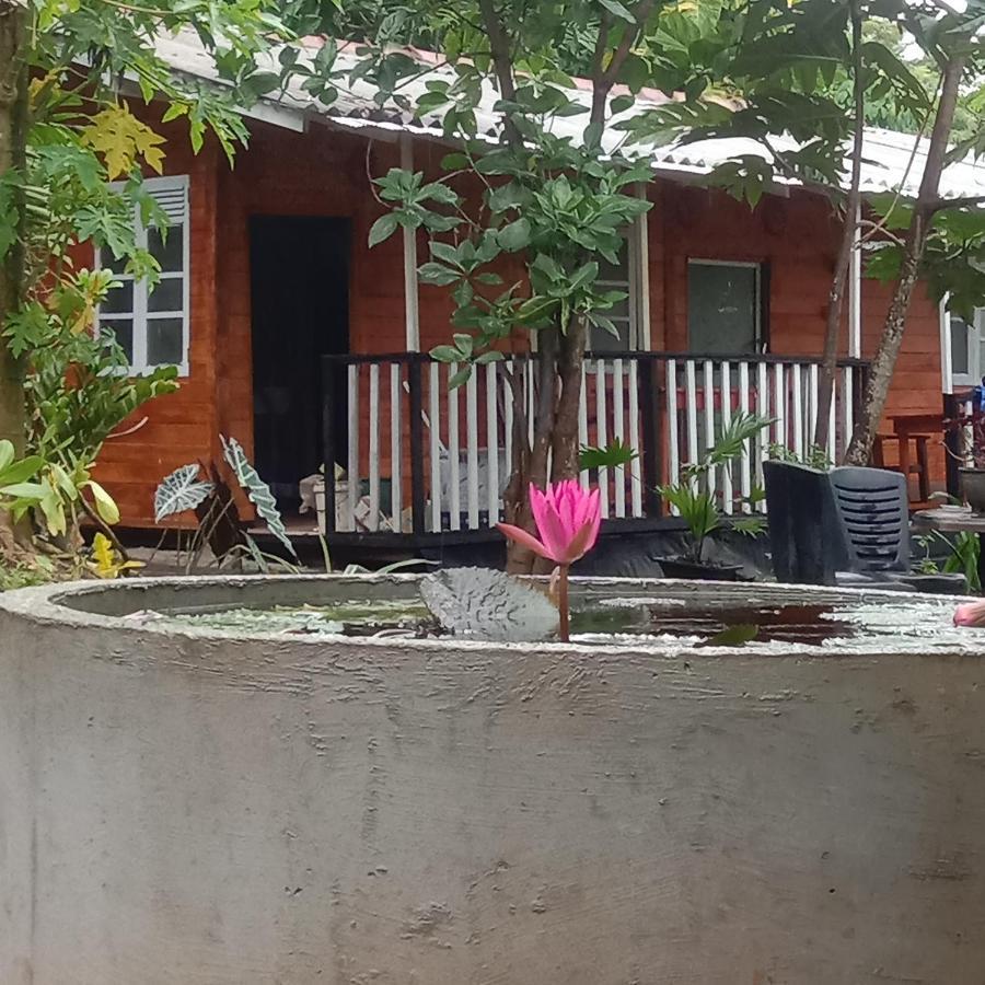 My House アハンガマ エクステリア 写真
